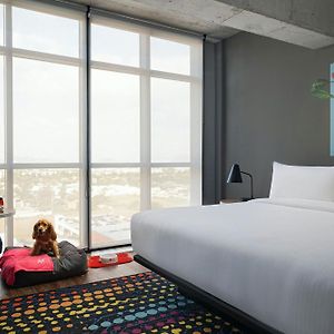 Savvy Suite 1 King